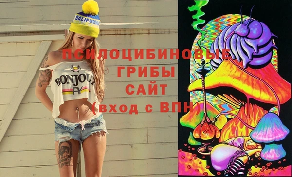 ПСИЛОЦИБИНОВЫЕ ГРИБЫ Заволжск