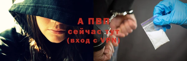 крисы Заводоуковск