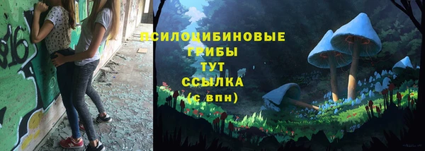 крисы Заводоуковск