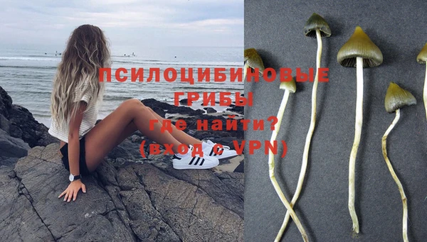 MESCALINE Заволжье