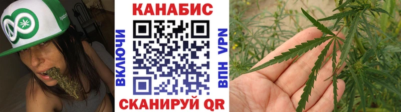 Купить где  Кировск  Каннабис план 